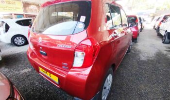 SUZUKI CELERIO full