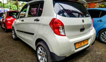 SUZUKI CELERIO full