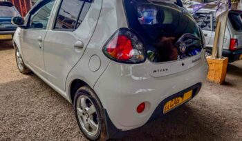MICRO PANDA full