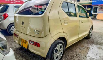 SUZUKI ALTO full