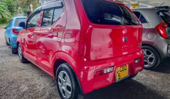 SUZUKI ALTO full