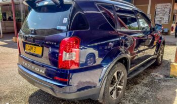 MICRO REXTON full