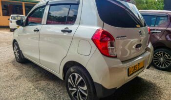 SUZUKI CELERIO full