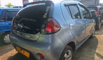 MICRO –  PANDA full