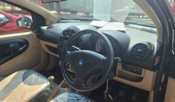 MICRO –  PANDA full