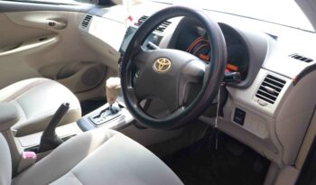 TOYOTA –  141 full