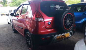 MICRO –  PANDA-CROSS full
