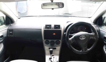 TOYOTA –  AXIO-FIELDER-141 full